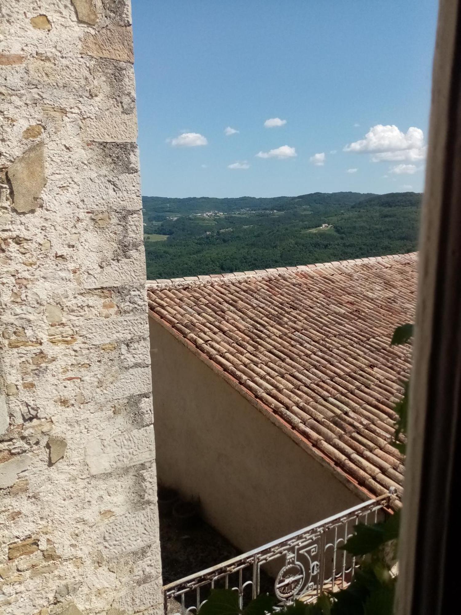 Studio Apartman Bel Vedere Motovun Eksteriør billede