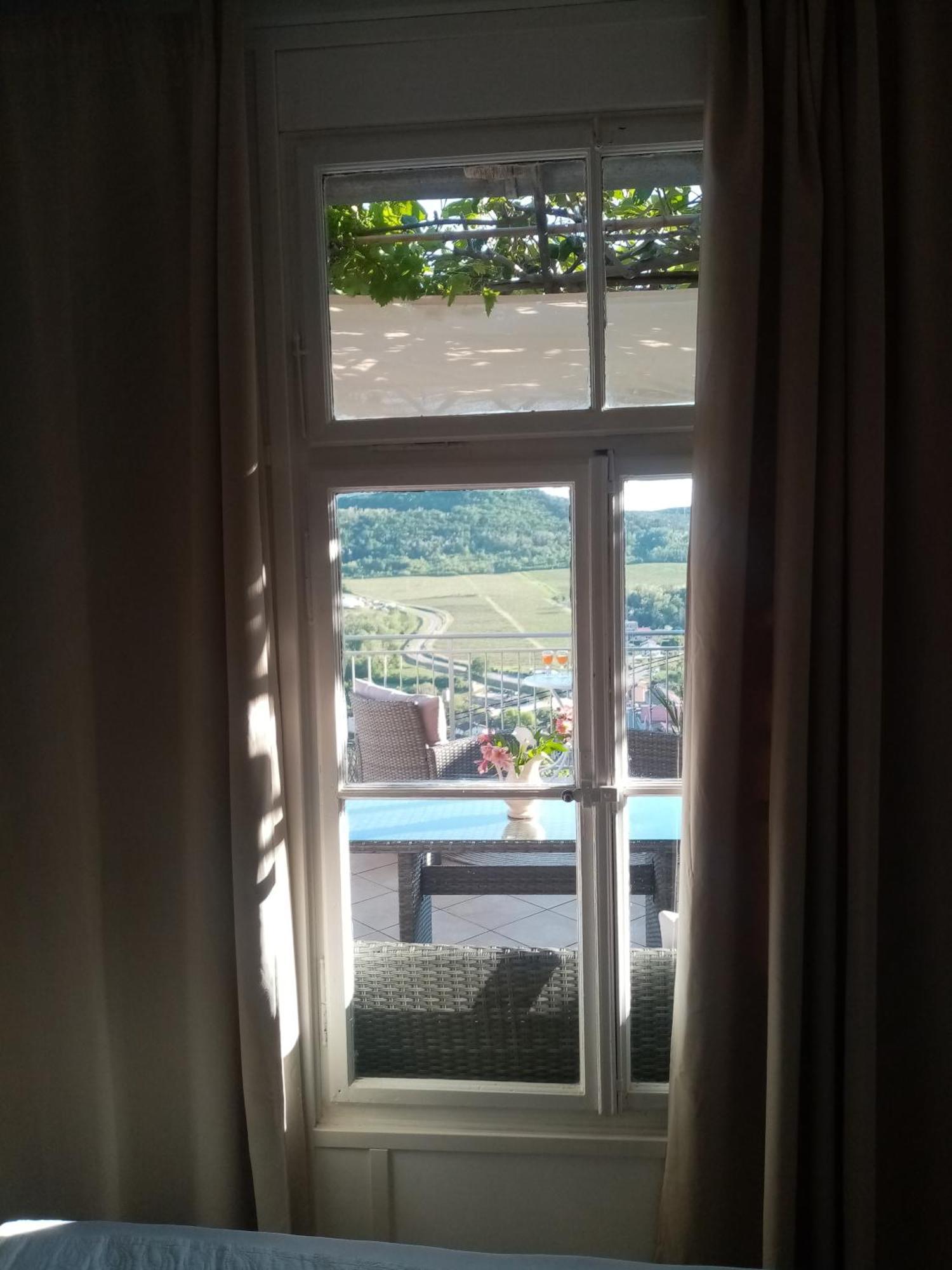 Studio Apartman Bel Vedere Motovun Eksteriør billede