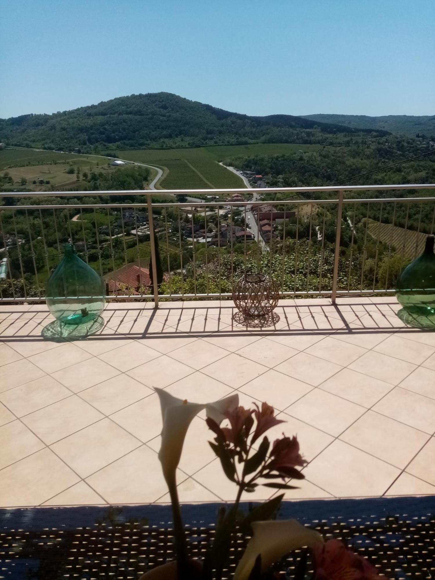 Studio Apartman Bel Vedere Motovun Eksteriør billede