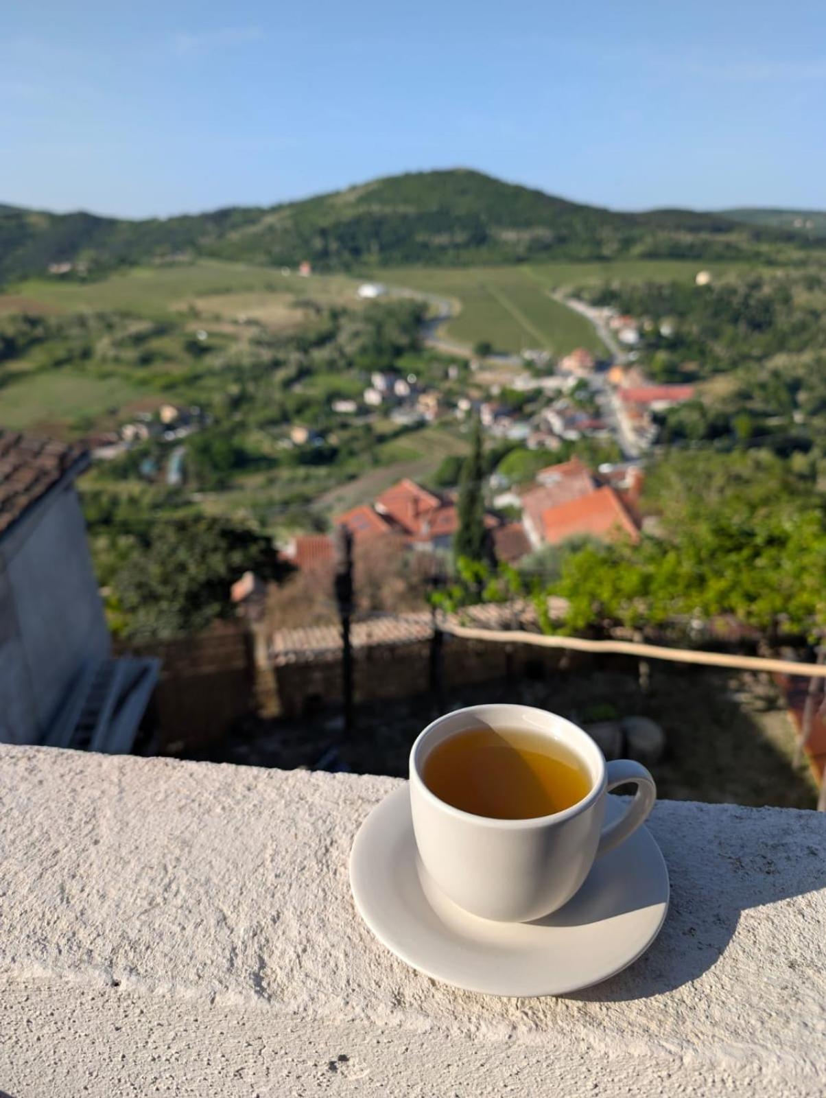 Studio Apartman Bel Vedere Motovun Eksteriør billede