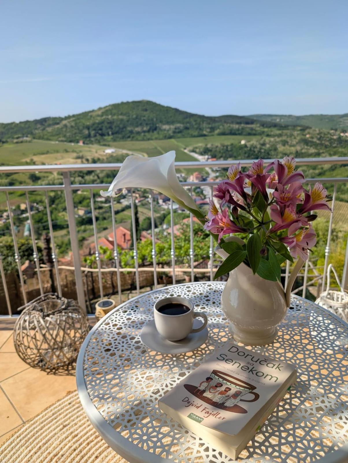Studio Apartman Bel Vedere Motovun Eksteriør billede
